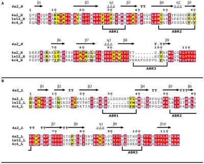 Functional and in silico Characterization of Neutralizing Interactions Between Antibodies and the Foot-and-Mouth Disease Virus Immunodominant Antigenic Site